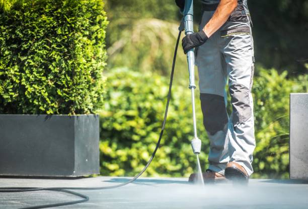 Best Roof Washing  in Frazer, PA