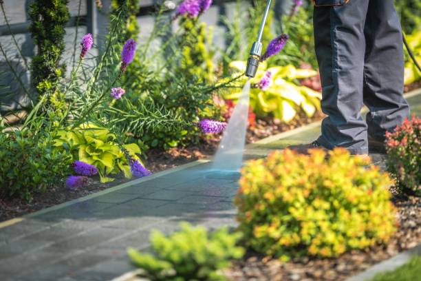 Frazer, PA Pressure Washing Services Company